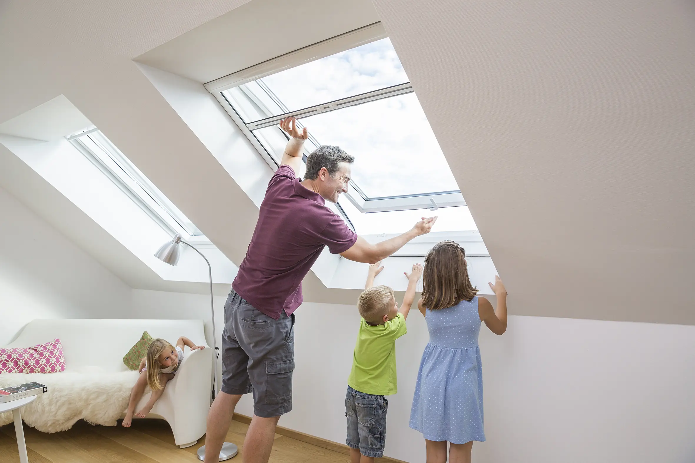 Moustiquaire enroulable – fenêtre haut de gamme